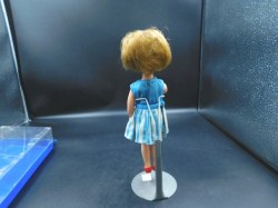 penny brite blue case bk
